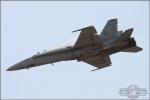 Boeing F/A-18C Hornet - MCAS Miramar Airshow 2005: Day 3 [ DAY 3 ]
