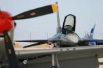 Northrop F-51D Mustang   &  F-16C Viper - NAF El Centro Airshow 2005