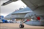 Boeing CF-18 Hornet - MCAS Miramar Airshow 2007 [ DAY 1 ]