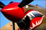 Curtiss P-40E Warhawk - Planes of Fame Airshow 2008: Day 2 [ DAY 2 ]