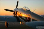 Hawker Sea Fury  FB Mk11 - Planes of Fame Airshow 2008: Day 2 [ DAY 2 ]