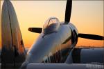 Hawker Sea Fury  FB Mk11 - Planes of Fame Airshow 2008: Day 2 [ DAY 2 ]