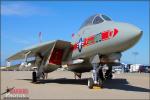 Grumman YF-14A Tomcat - March ARB Air Fest 2010: Day 2 [ DAY 2 ]