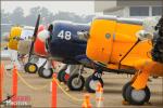 North American T-6 Texans - Thunder over the Valley Airshow 2010