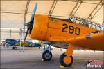 Warbird Aircraft   