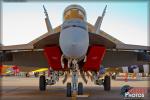 Boeing F/A-18F Super  Hornet 