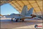 Boeing F/A-18F Super  Hornet - NAF El Centro Airshow 2014