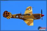 Curtiss P-40N Warhawk   