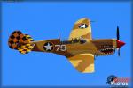 Curtiss P-40N Warhawk - Planes of Fame Airshow 2014 [ DAY 1 ]