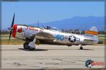 Republic P-47D Thunderbolt - Planes of Fame Airshow 2014 [ DAY 1 ]