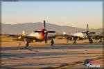 Republic P-47D Thunderbolts - Planes of Fame Airshow 2014 [ DAY 1 ]