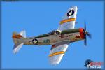 Republic P-47D Thunderbolts - Planes of Fame Airshow 2014 [ DAY 1 ]