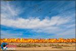 Pearl Harbor Reenactment Tora Tora  Tora - LA County Airshow 2016: Day 2 [ DAY 2 ]