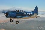 Douglas SBD-5 Dauntless - Air to Air Photo Shoot - September 3, 2005