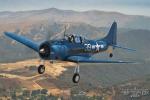 Douglas SBD-5 Dauntless - Air to Air Photo Shoot - September 3, 2005