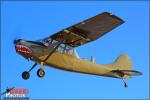 Cessna O-1E Birddog - Air to Air Photo Shoot - December 10, 2011