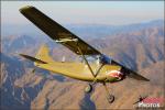 Cessna O-1E Birddog - Air to Air Photo Shoot - December 10, 2011