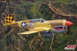Curtiss P-40N Warhawk - Air to Air Photo Shoot - April 25, 2012