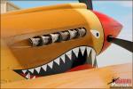 Curtiss P-40N Warhawk - Air to Air Photo Shoot - April 25, 2012