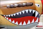 Curtiss P-40N Warhawk - Air to Air Photo Shoot - April 25, 2012