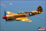 Curtiss P-40N Warhawk - Air to Air Photo Shoot - July 7, 2012