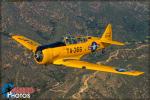 North American T-6G Texan - Air to Air Photo Shoot - February 22, 2016