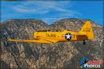 North American T-6G Texan - Air to Air Photo Shoot - February 22, 2016