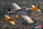 North American P-51D Mustang   &  P-40N Warhawk - Air to Air Photo Shoot - March 10, 2017