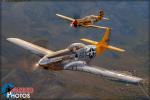 North American P-51D Mustang   &  P-40N Warhawk - Air to Air Photo Shoot - March 10, 2017