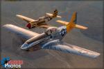 North American P-51D Mustang   &  P-40N Warhawk - Air to Air Photo Shoot - March 10, 2017