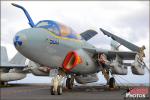 Grumman EA-6B Prowler   