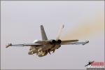 Boeing E/A-18G Growler   