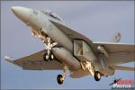 Boeing E/A-18G Growler   