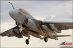 Featuring two practice sessions of the US Navy Blue Angels along with a tour of the Blue Angels history park at NAF El Centro. Then later by the runway as Hornets, Growlers, Prowlers, Ospreys, and a lot more take off mere feet from photographers!